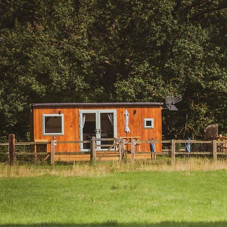 Hotel The Hideaway At Hiddenwood Glamping à Corsley Extérieur photo